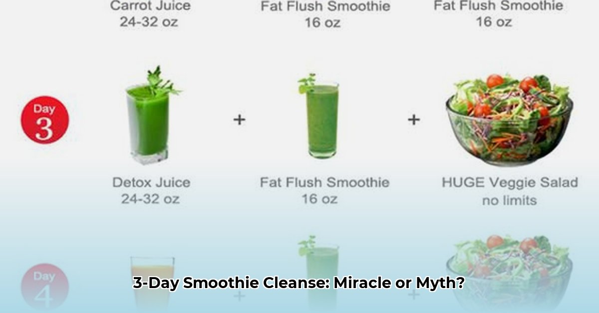 three-day-smoothie-cleanse-weight-loss